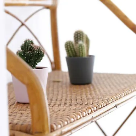 Casa Branca Cantabria