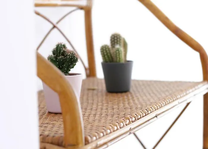 Casa Branca Cantabria